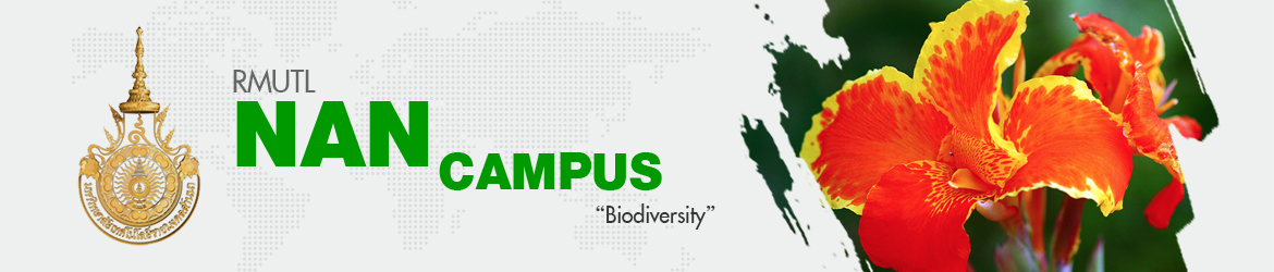 Website logo Rajamangala University of Technology Lanna Nan